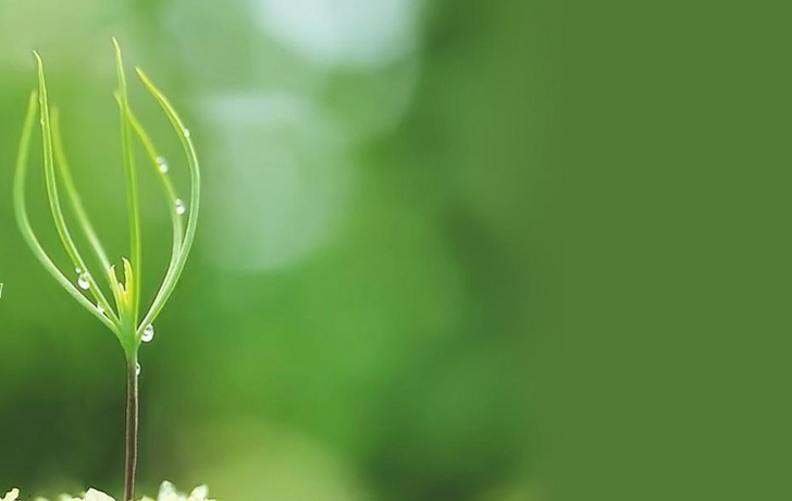 風(fēng)機噪音治理要從4個(gè)方面著(zhù)手